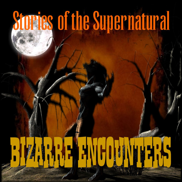 Bizarre Encounters | Interview with Lon Strickler | Podcast episode artwork