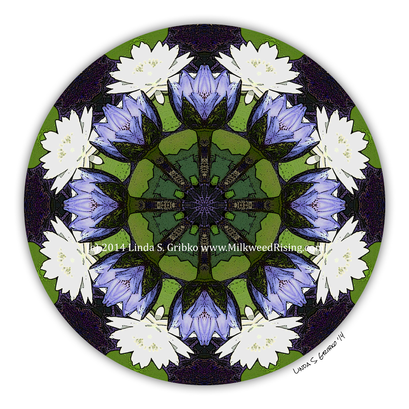 Chakras and Meditation with Writing