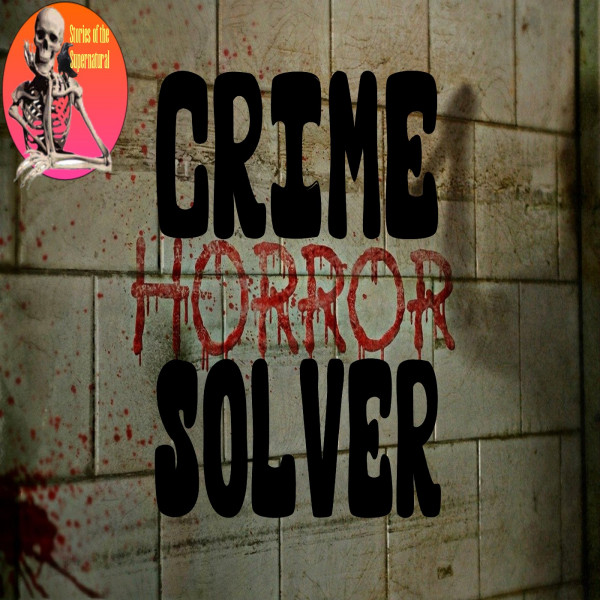 Crime Solver | Interview with Valerie Evans | Podcast episode artwork
