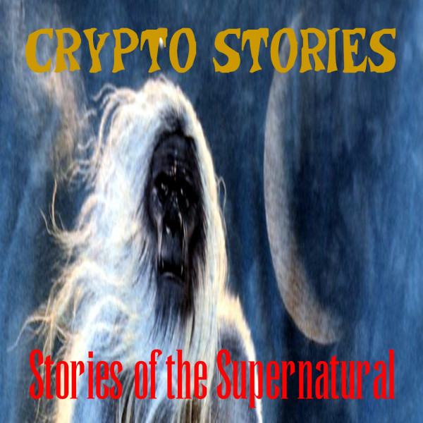Crypto Stories | Interview with Eric Altman | Podcast episode artwork