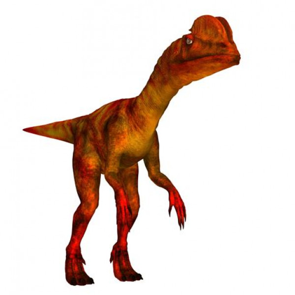 Dancing with Dinosaurs