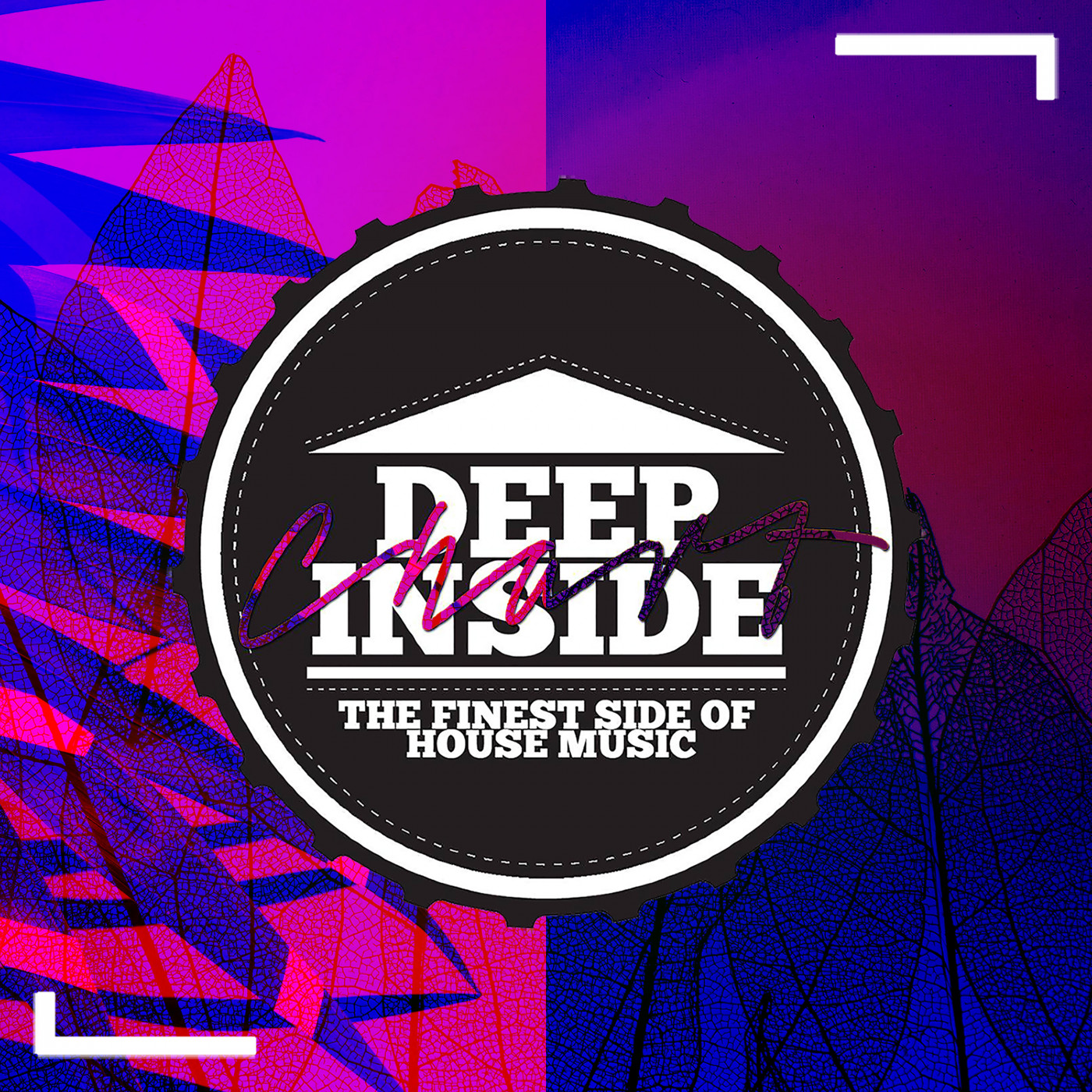 Deep Inside - November 16, 2024 episode artwork
