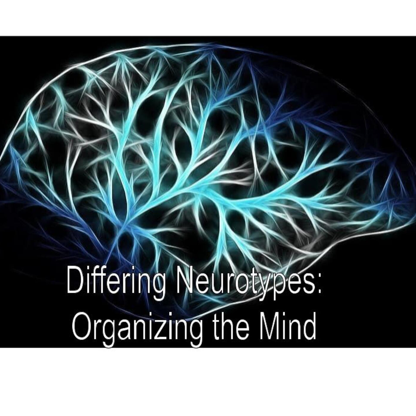 Differing Neurotypes: Organizing the Mind