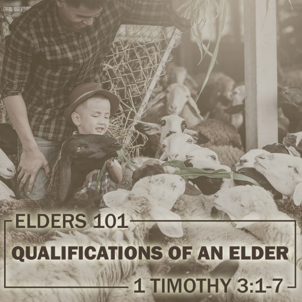 Elders 101: Qualifications of an Elder