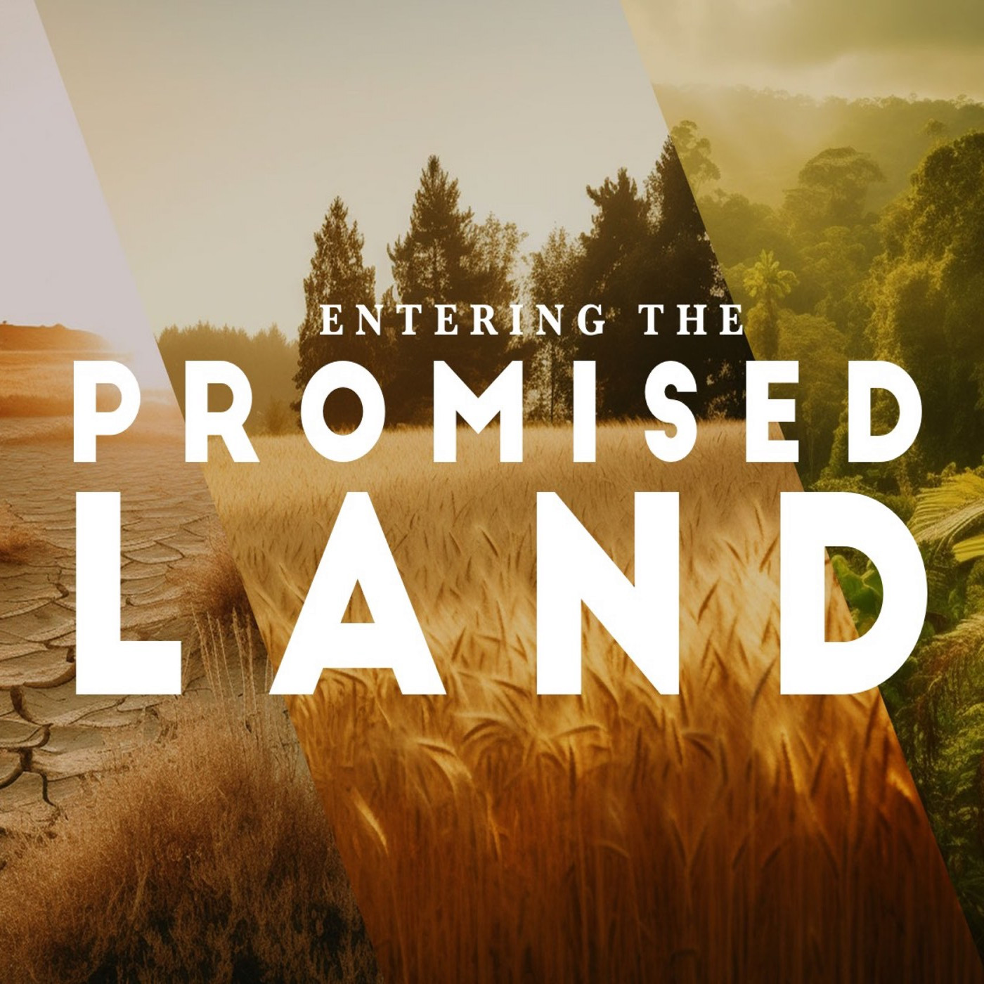 Entering the Promised Land: Fighting for the Things of God, Not the Things of Self episode artwork
