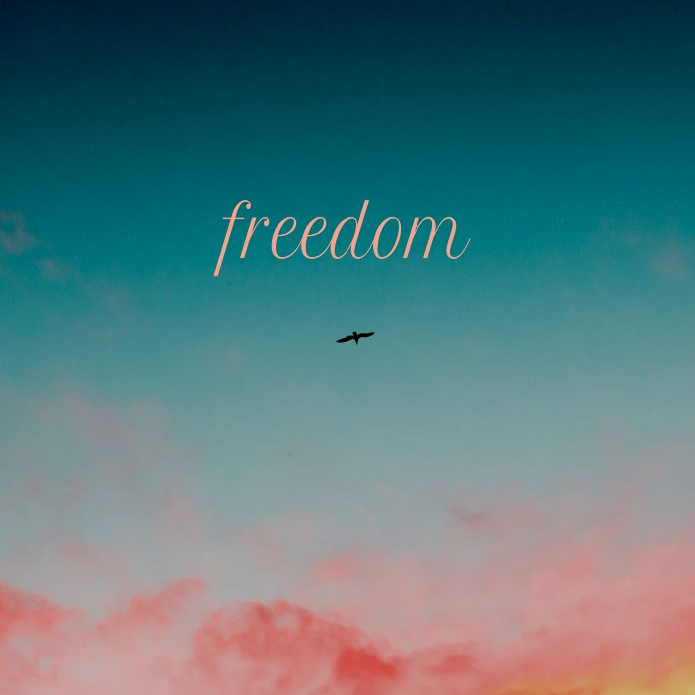 Freedom episode artwork
