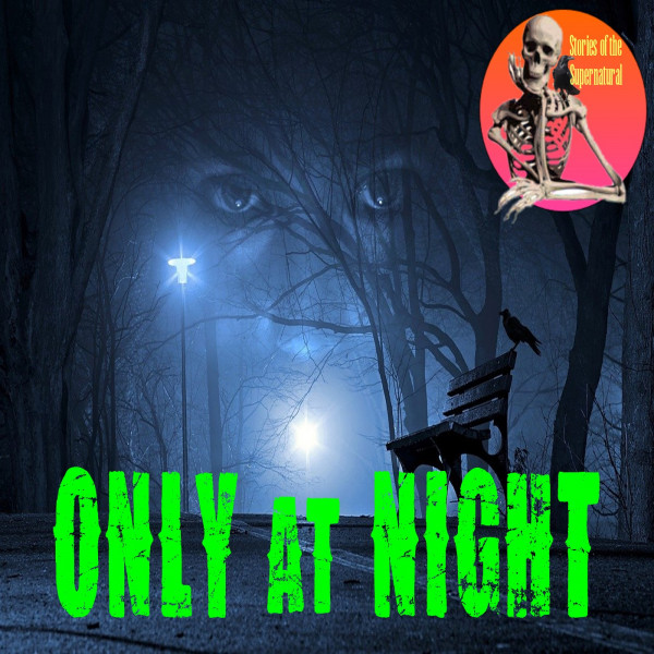 Only at Night | Interview with Vicki Joy Anderson | Podcast episode artwork
