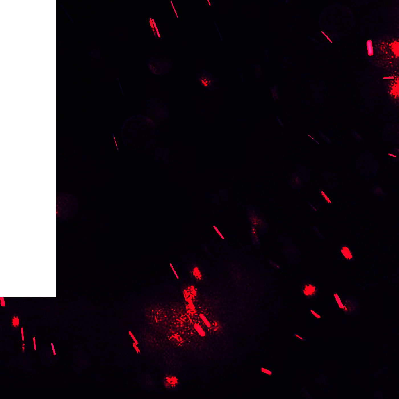 Opening The BoxScape