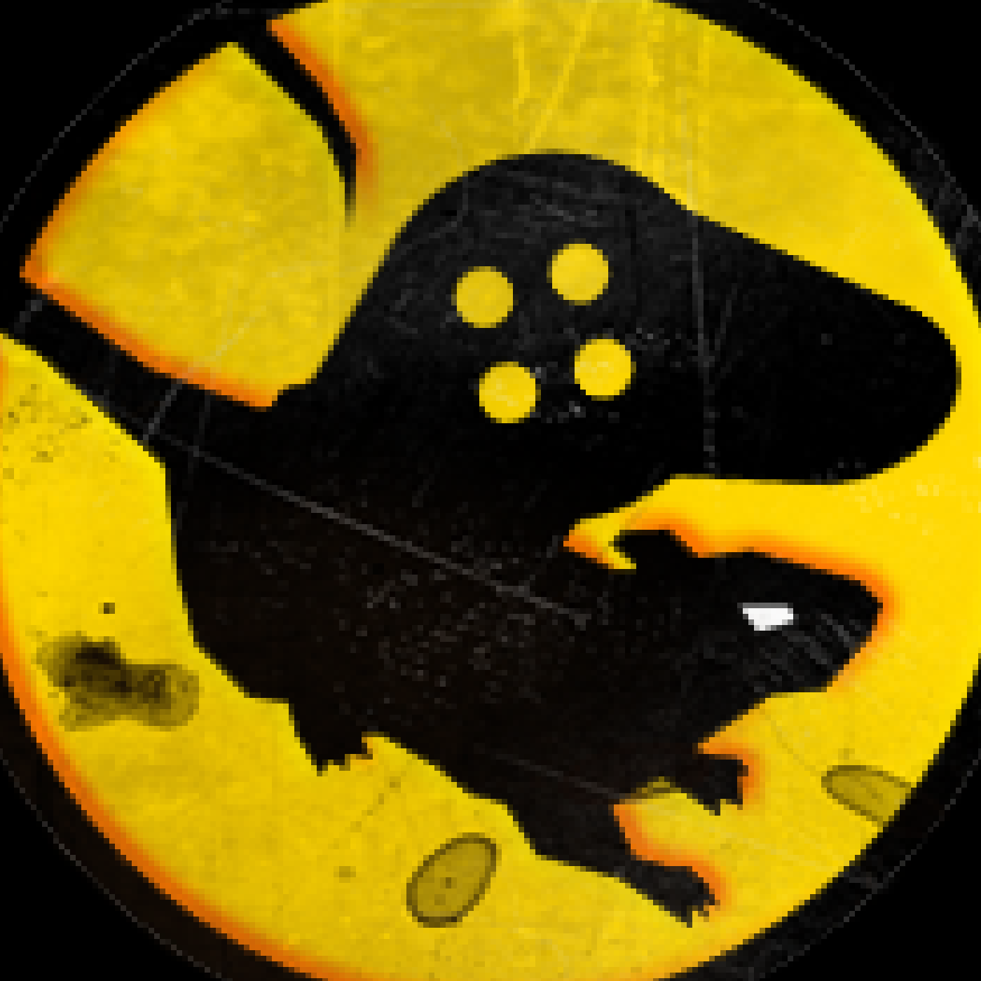 Ratos de Fliperama