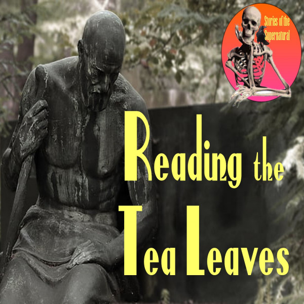Reading the Tea Leaves | Interview with Robert Lindsy Milne | Podcast episode artwork