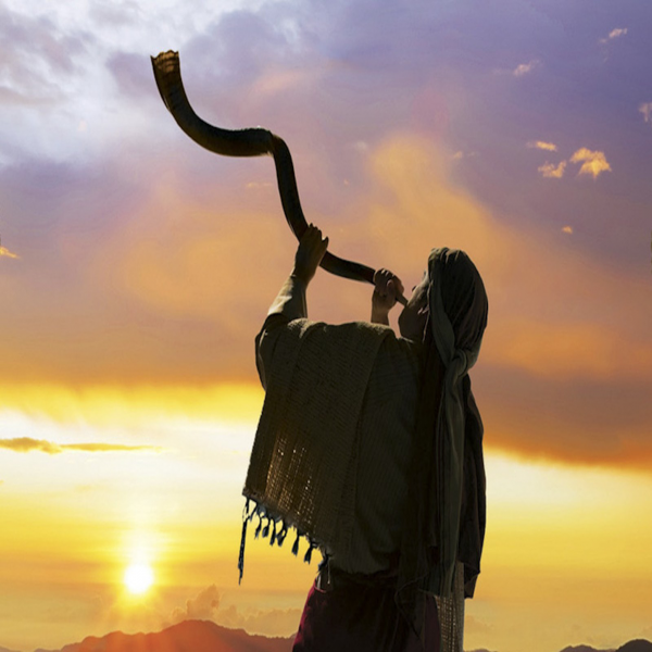 Revelation 6 - Curses to lead to repentance