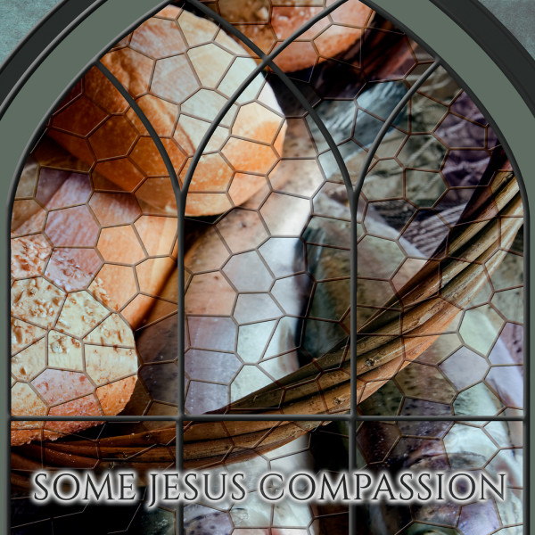 Some Jesus Compassion