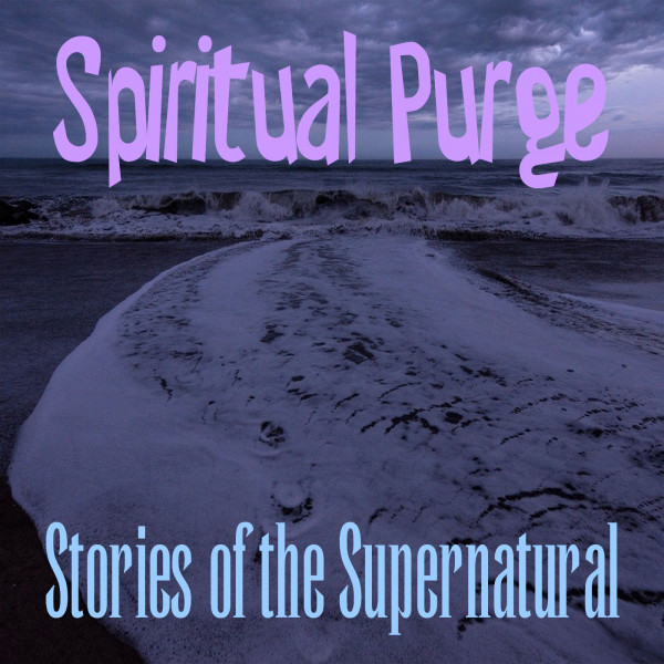Spiritual Purge | Interview with Bill Bean | Podcast episode artwork
