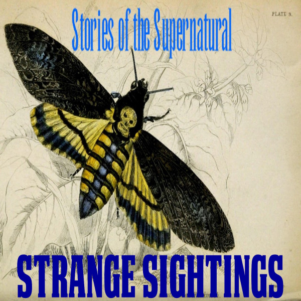 Strange Sightings | Interview with Al Santariga | Podcast episode artwork