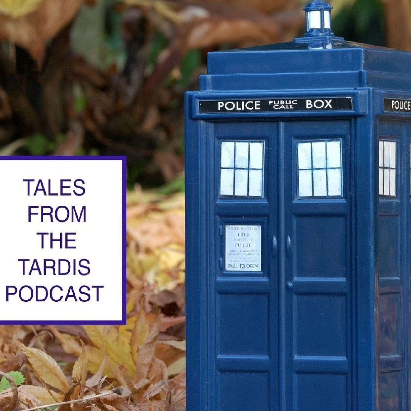 Tales from the TARDIS Podcast