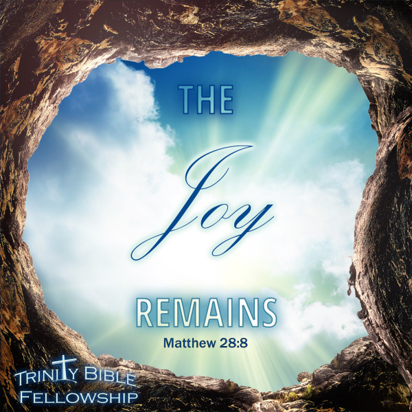 The Joy Remains