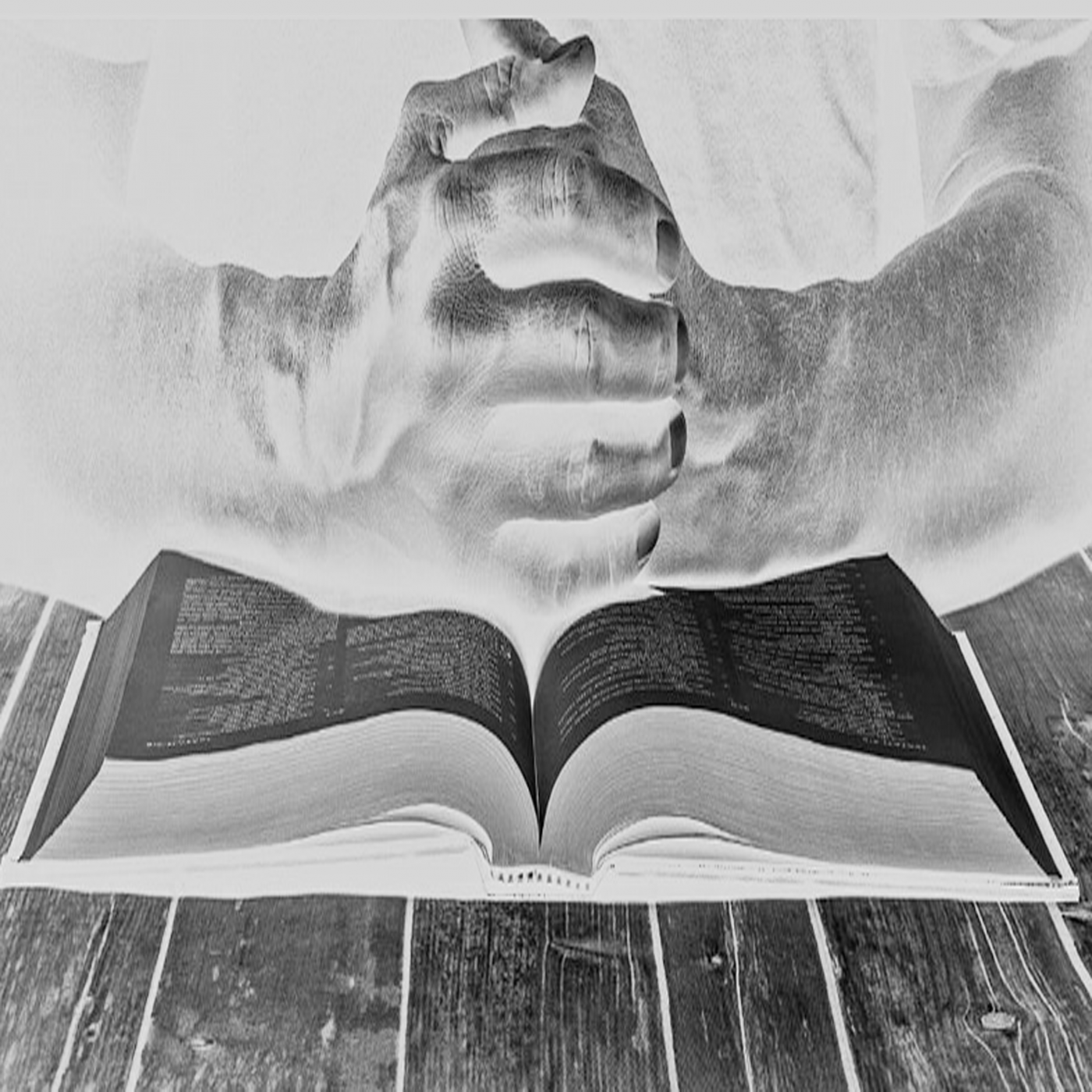 Walking the Talking 12 - Believing the Bible with Integrity