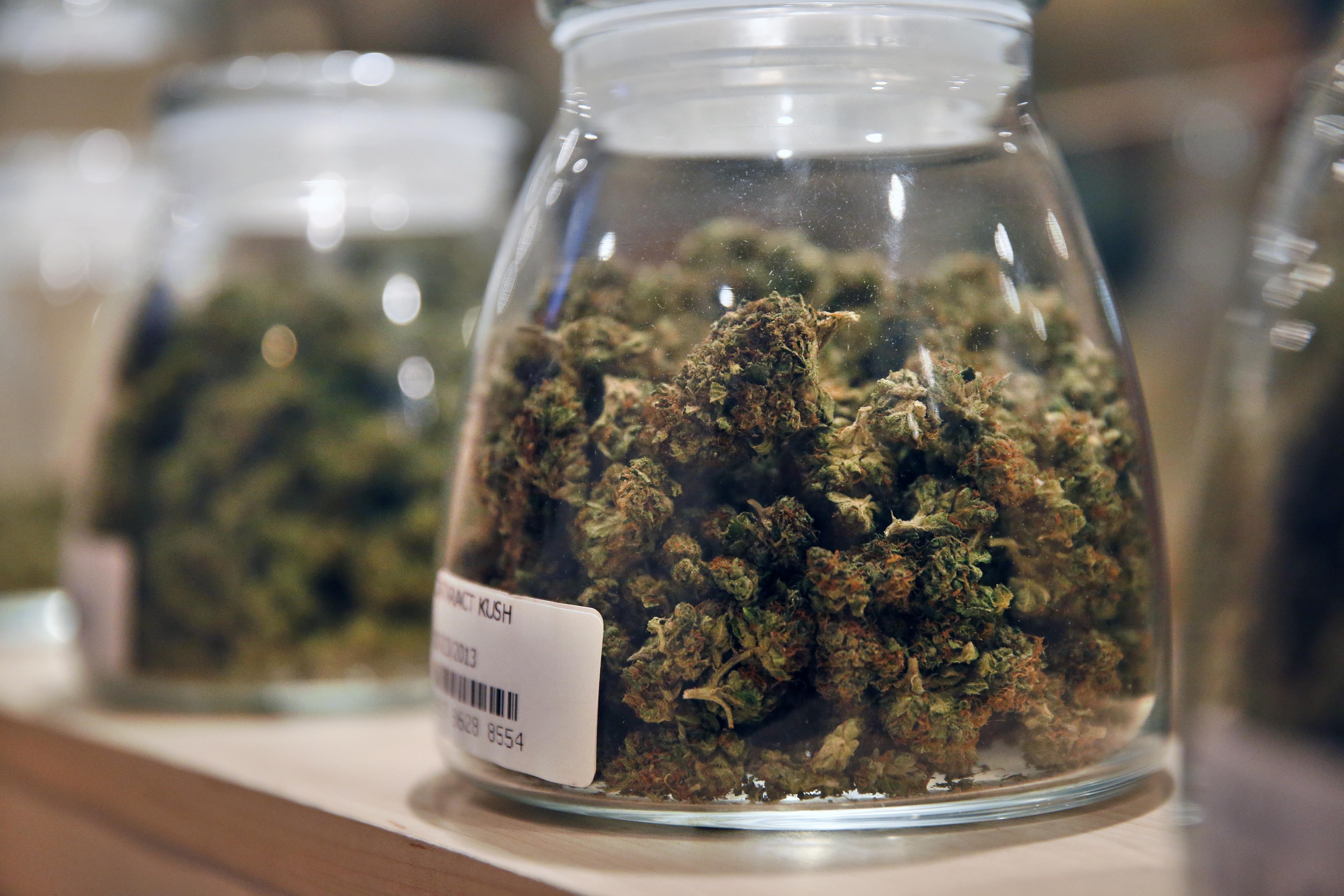 five things students can learn through group coursework essay on free weed sample