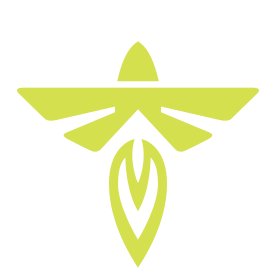 FLY