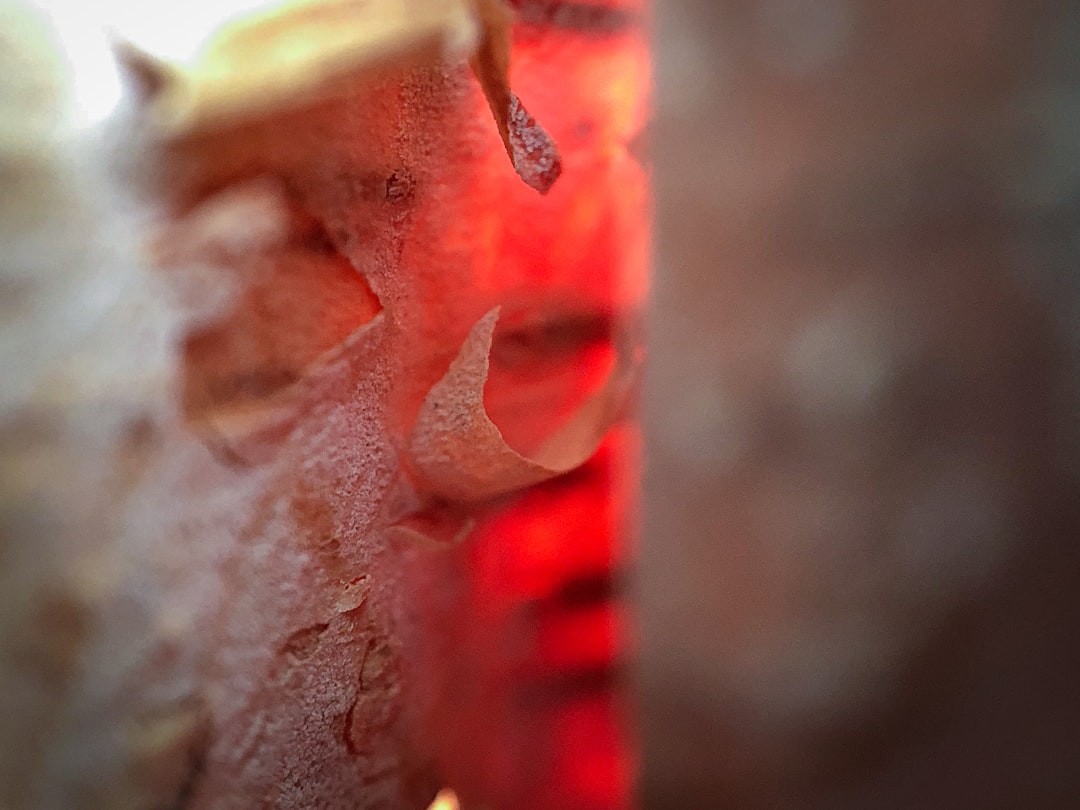 Quest-ce quune pompe à chaleur et comment fonctionne-t-elle dans le canton de Vaud ?