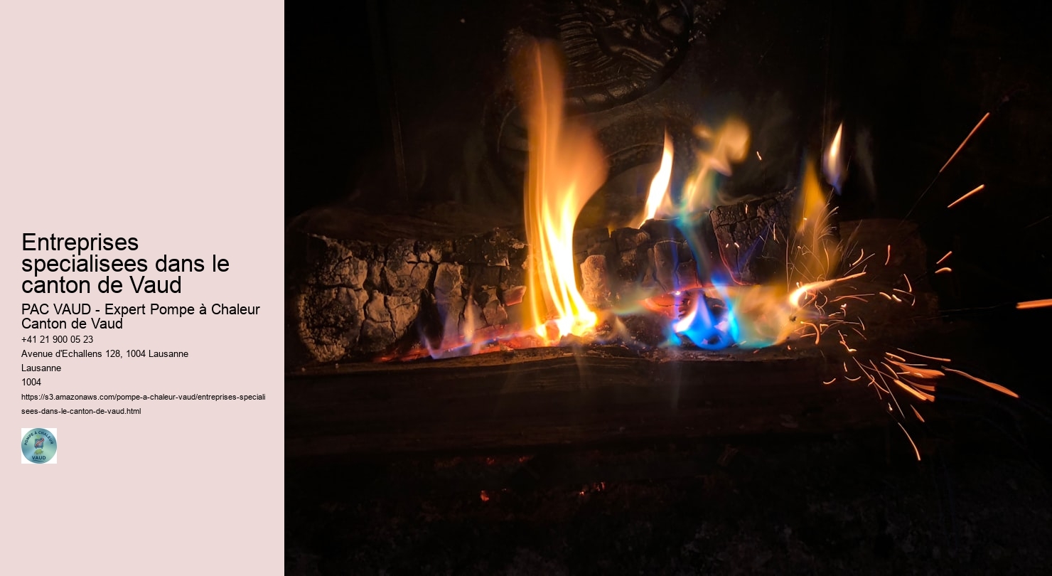 Entreprises specialisees dans le canton de Vaud