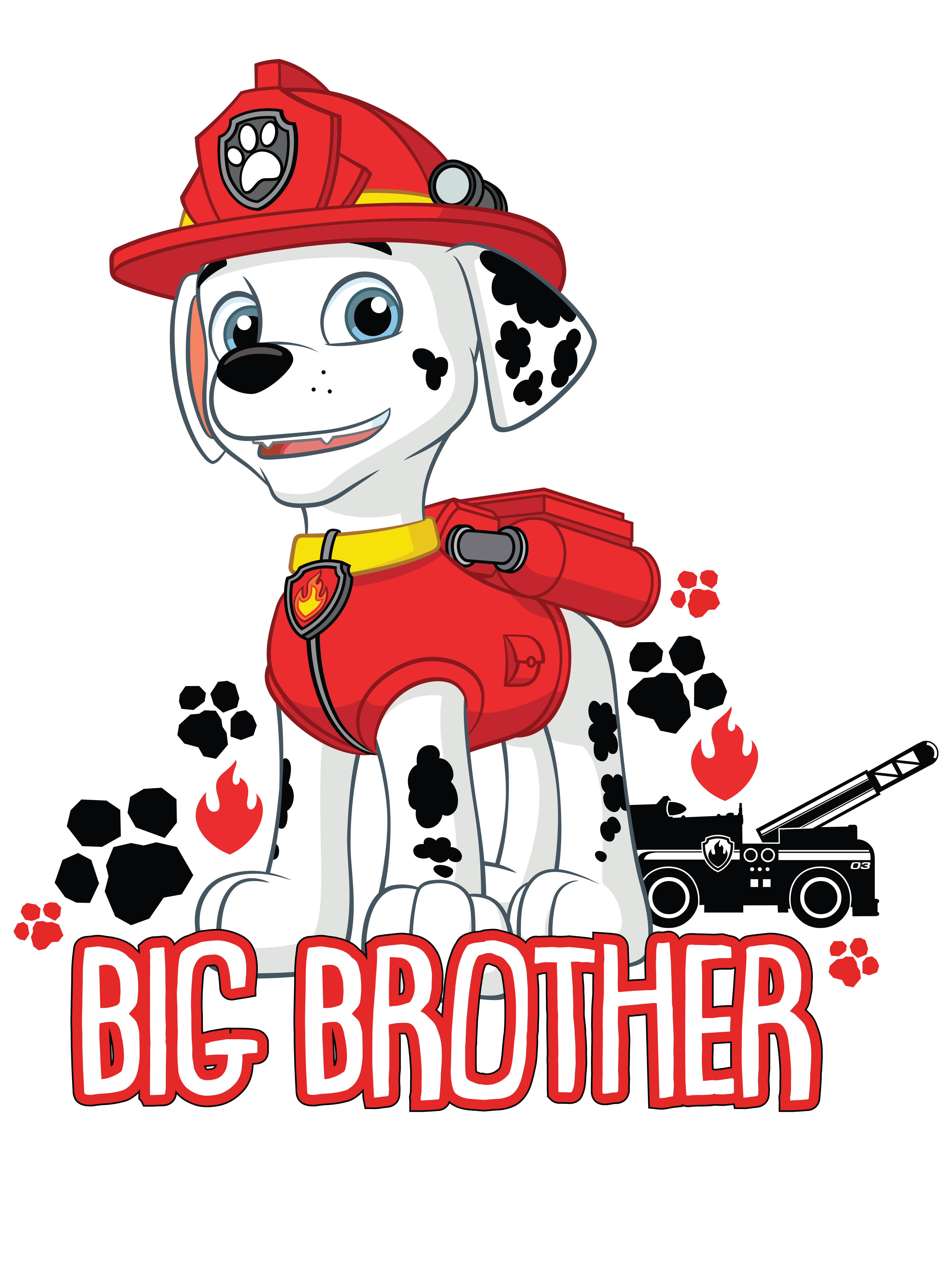 NICKELODEON PAW PATROL Marshall Big Brother Toddler 3 4 Sleeve Raglan T