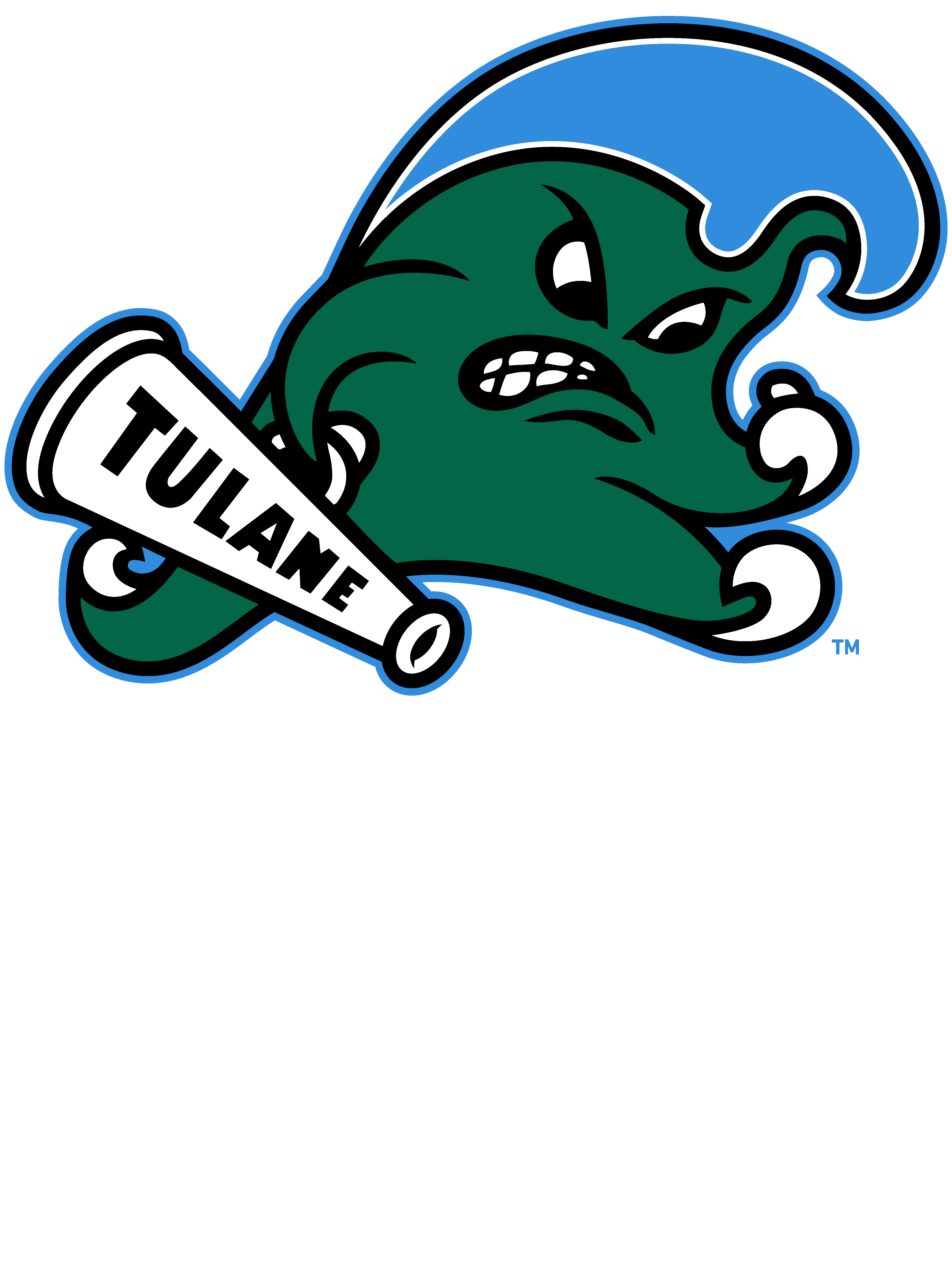 tulane green wave fan shop