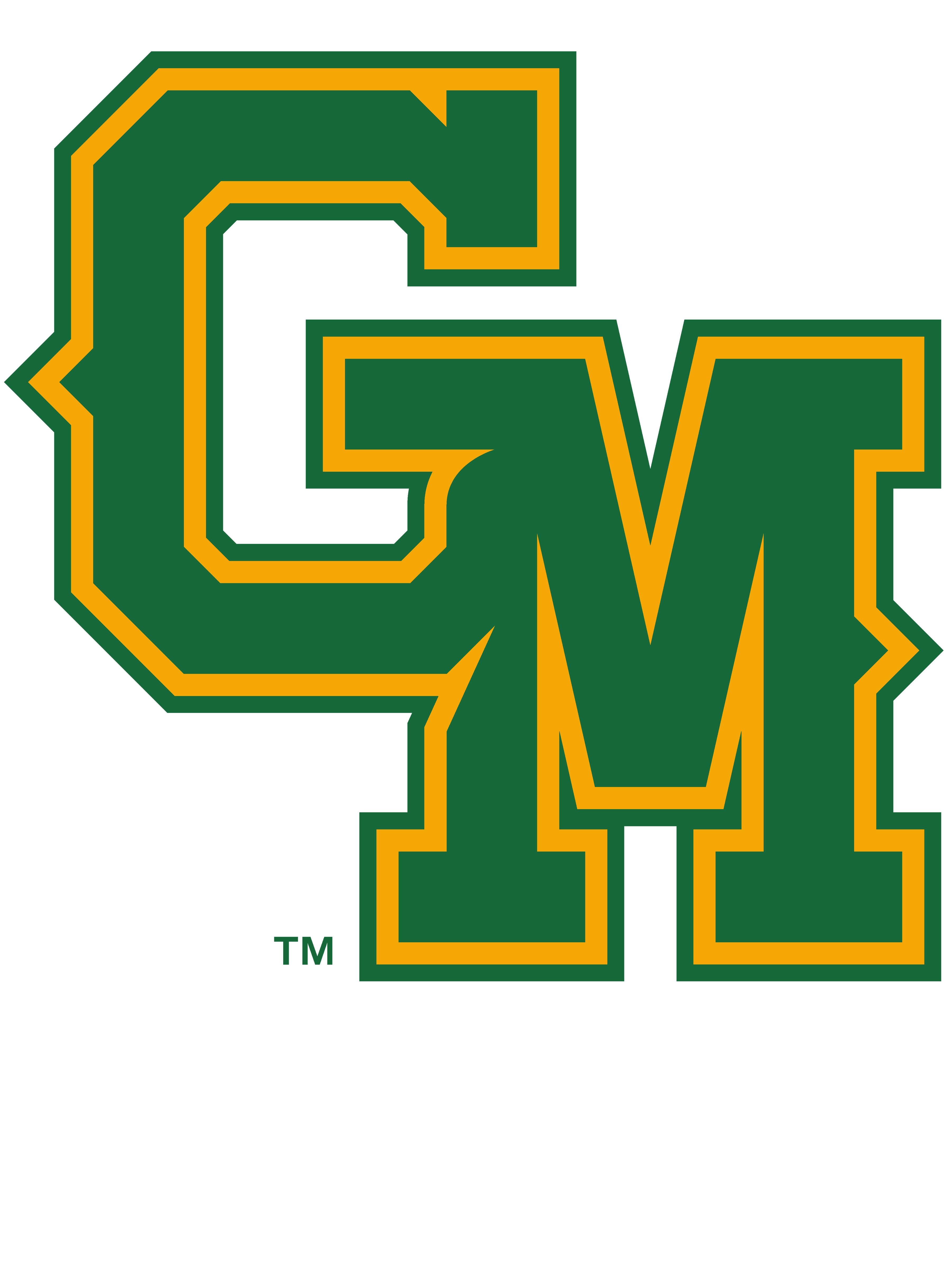 gmu hoodie