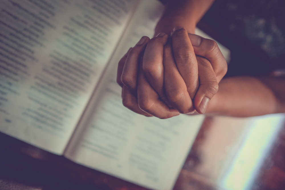 Grâce à Dieu pour quoi? Portal Universal Portal Universal