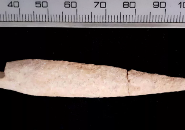 Data conscientiza sobre inclusão de pessoas com deficiência