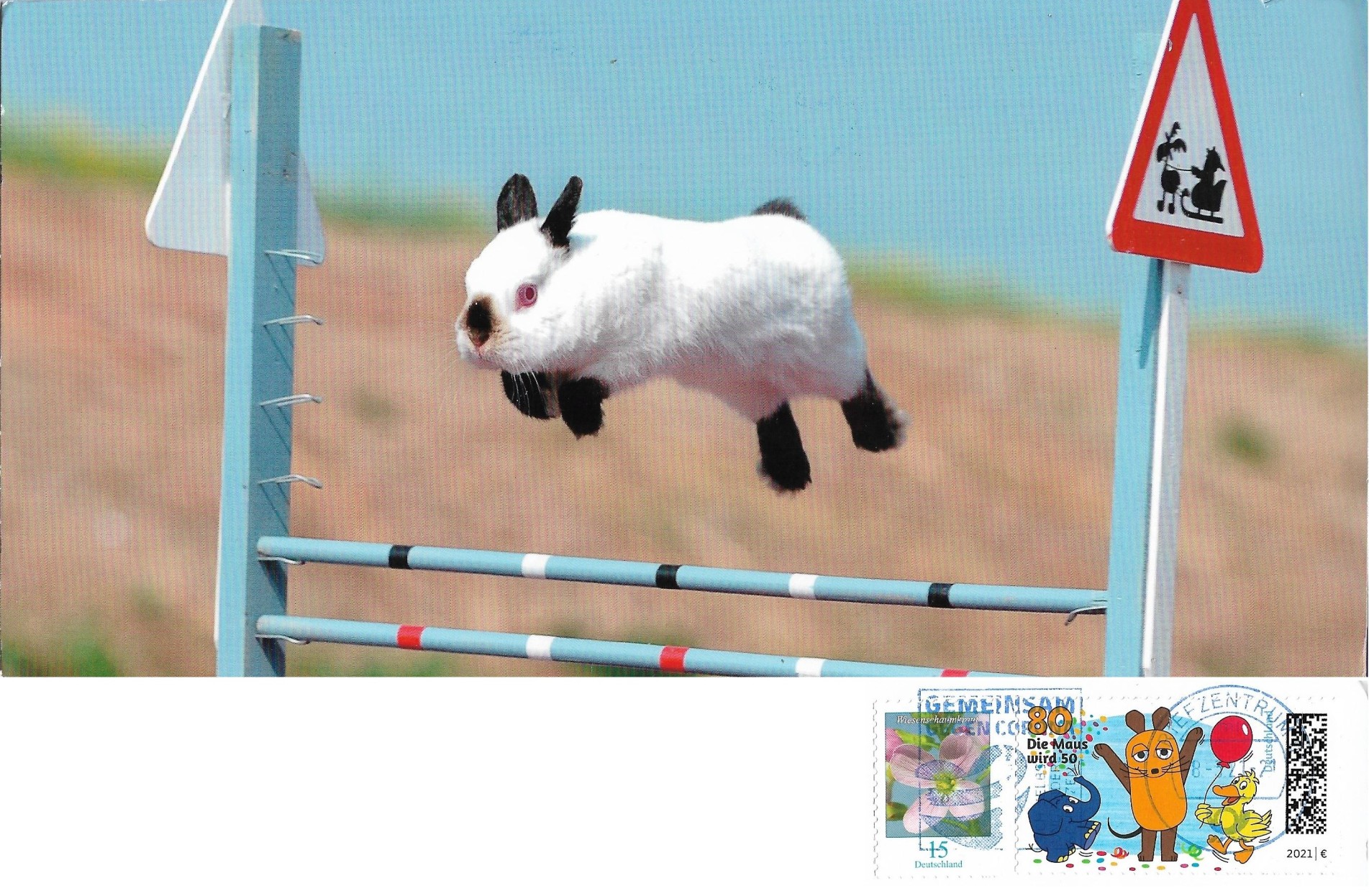 Bunny party speed up reverb. костюм кролика бар. шнуфель тусовка зайцев. Bunny party тренд. форма bunny.