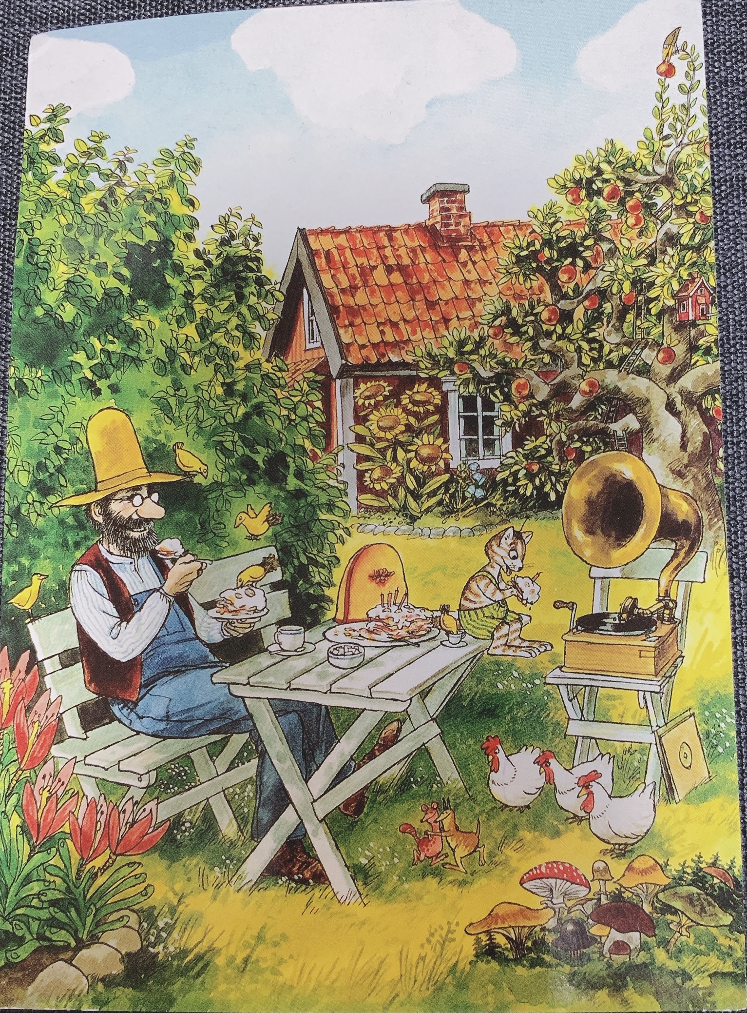 Нурдквист свен "охота на лис". Свен нурдквист петсон и финдус. Кот финдус и петсон. Беда андерсон финдус и петсон. Петсон и финдус.