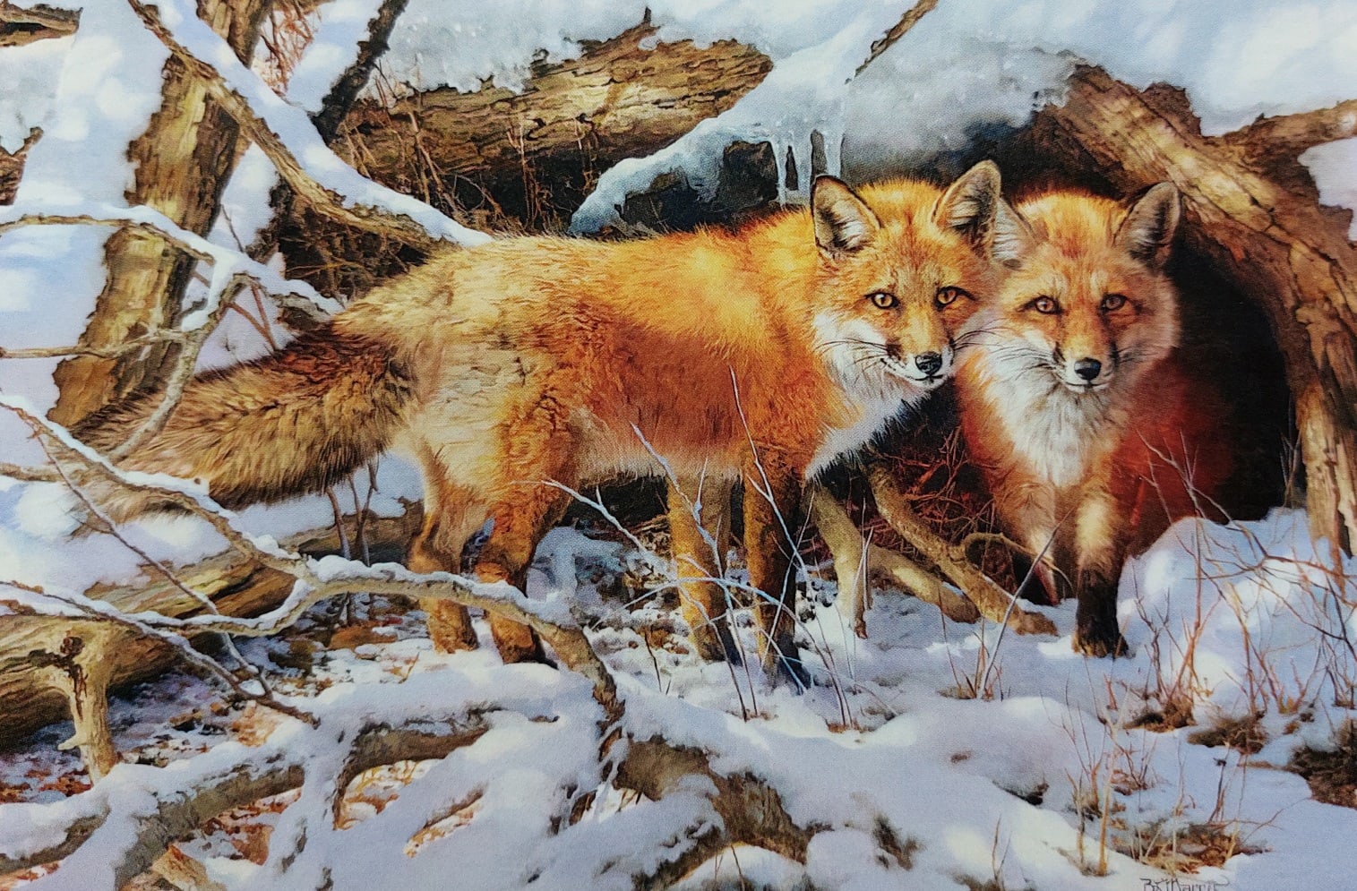 Картины лиса с лисятами