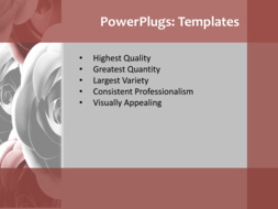 PPT Template - Text Slide