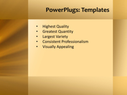 PPT Template - Text Slide