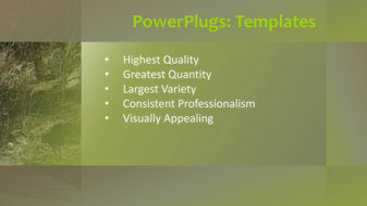 PPT Template - Text Slide