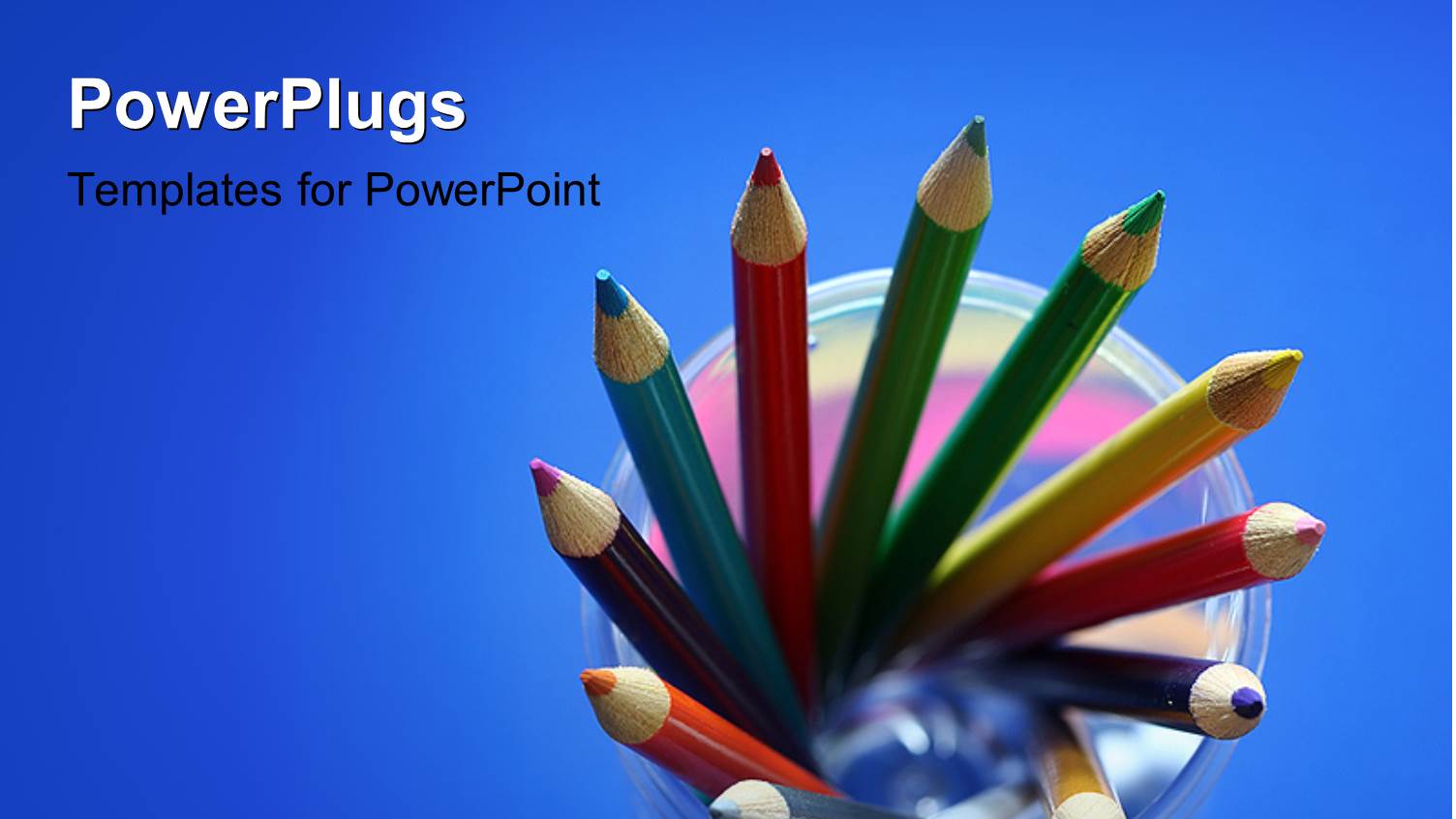 12 Well Arranged Pencils Over a Blue Background