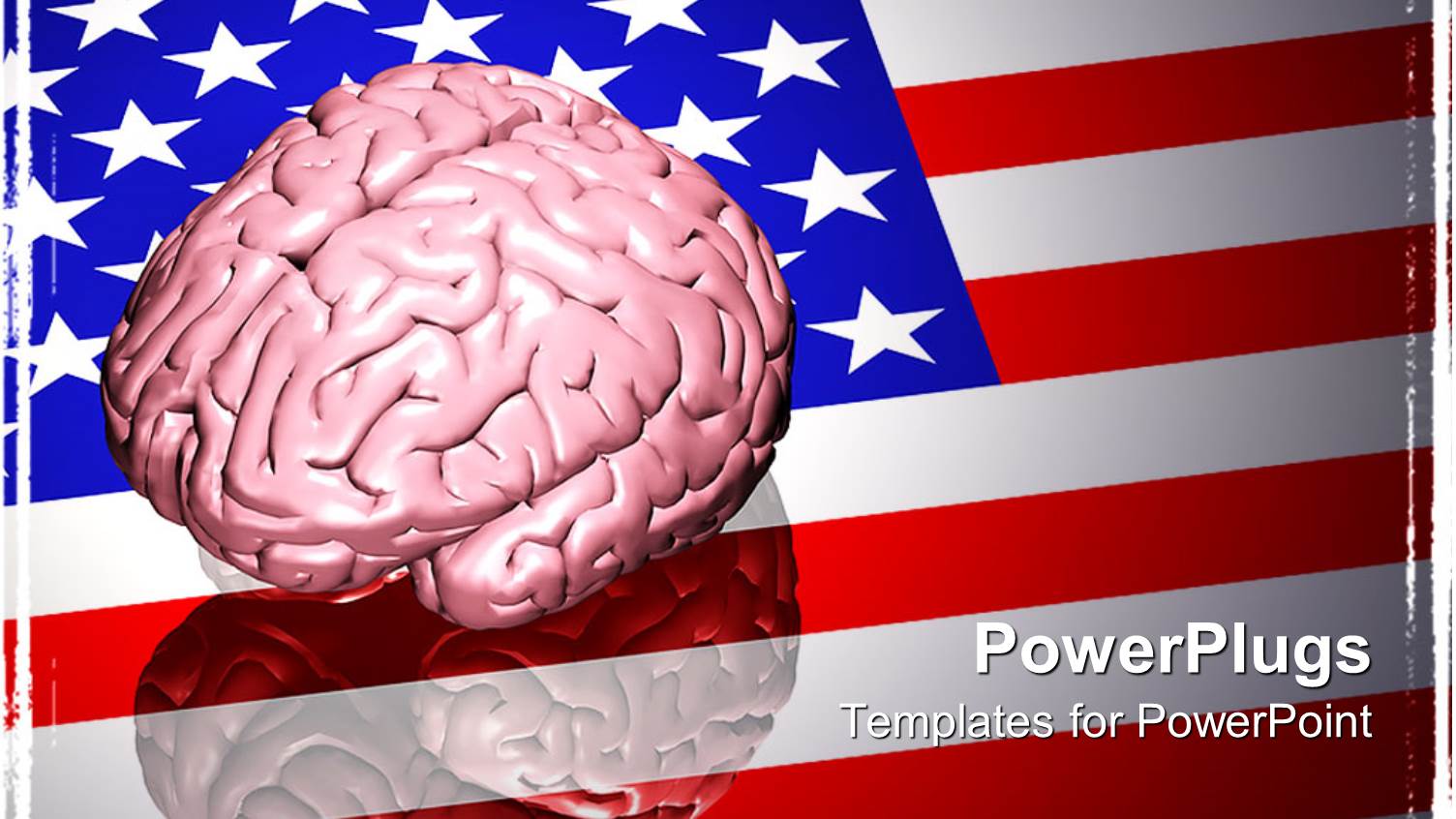 a 3D Depiction of a Human Brain on an American Flag