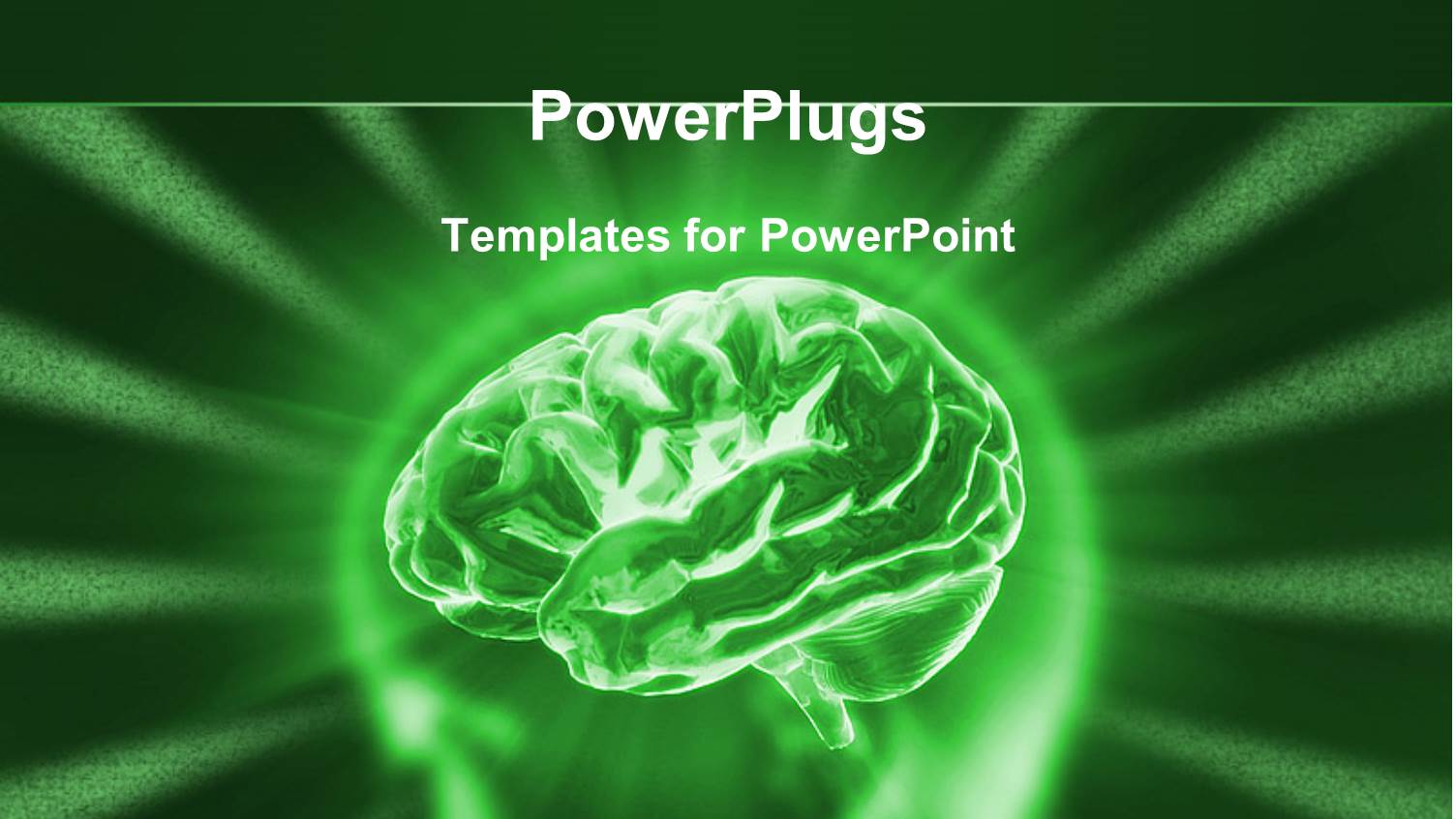 3D Graphics of a Human Head Showing the Brain Shinning in Green
