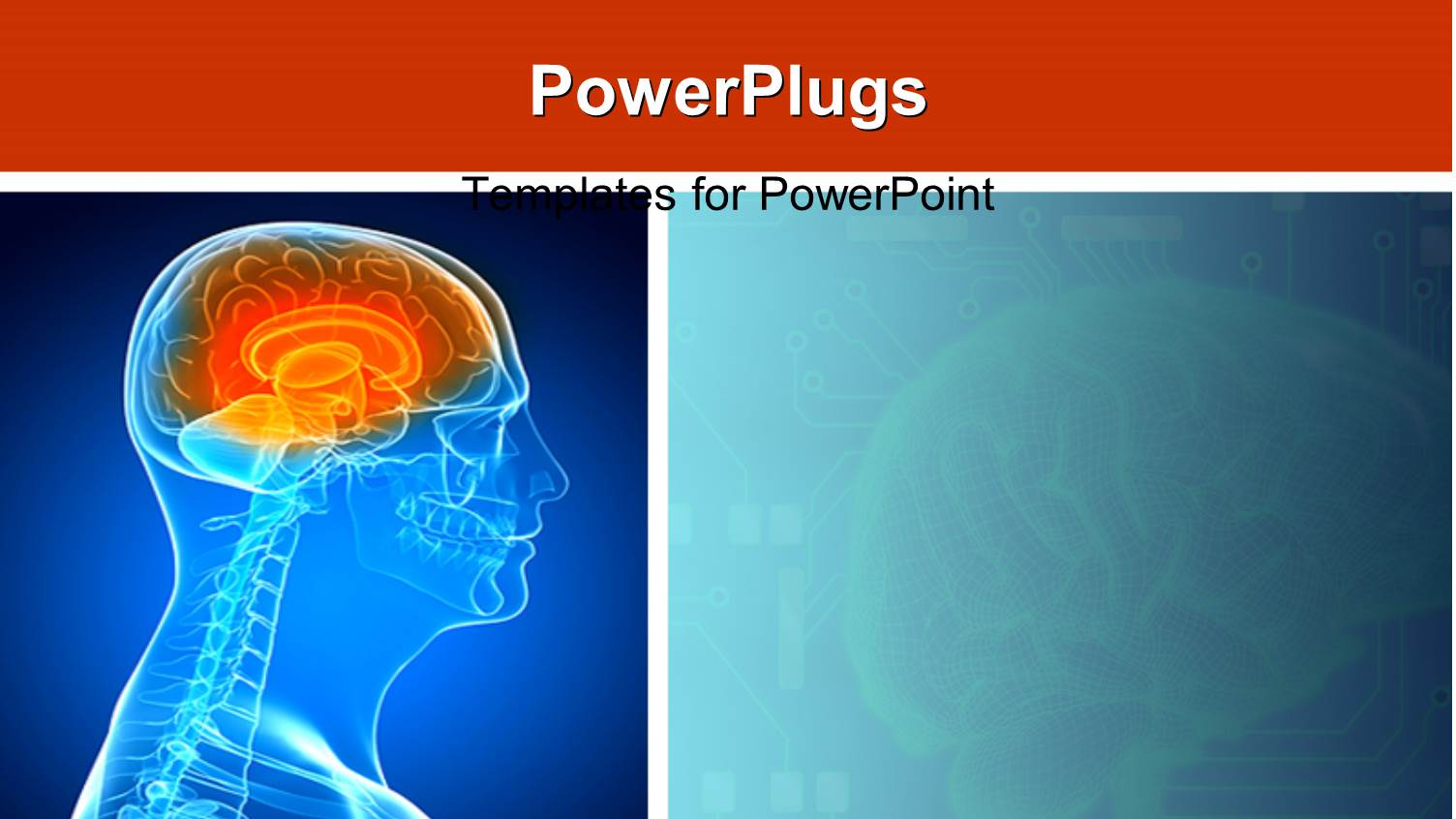 3D Graphics of a Man with a Transparent Head Showing his Brain