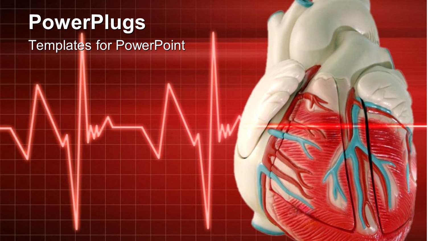 a 3D Heart with an Eco Cardiogram Wave Line