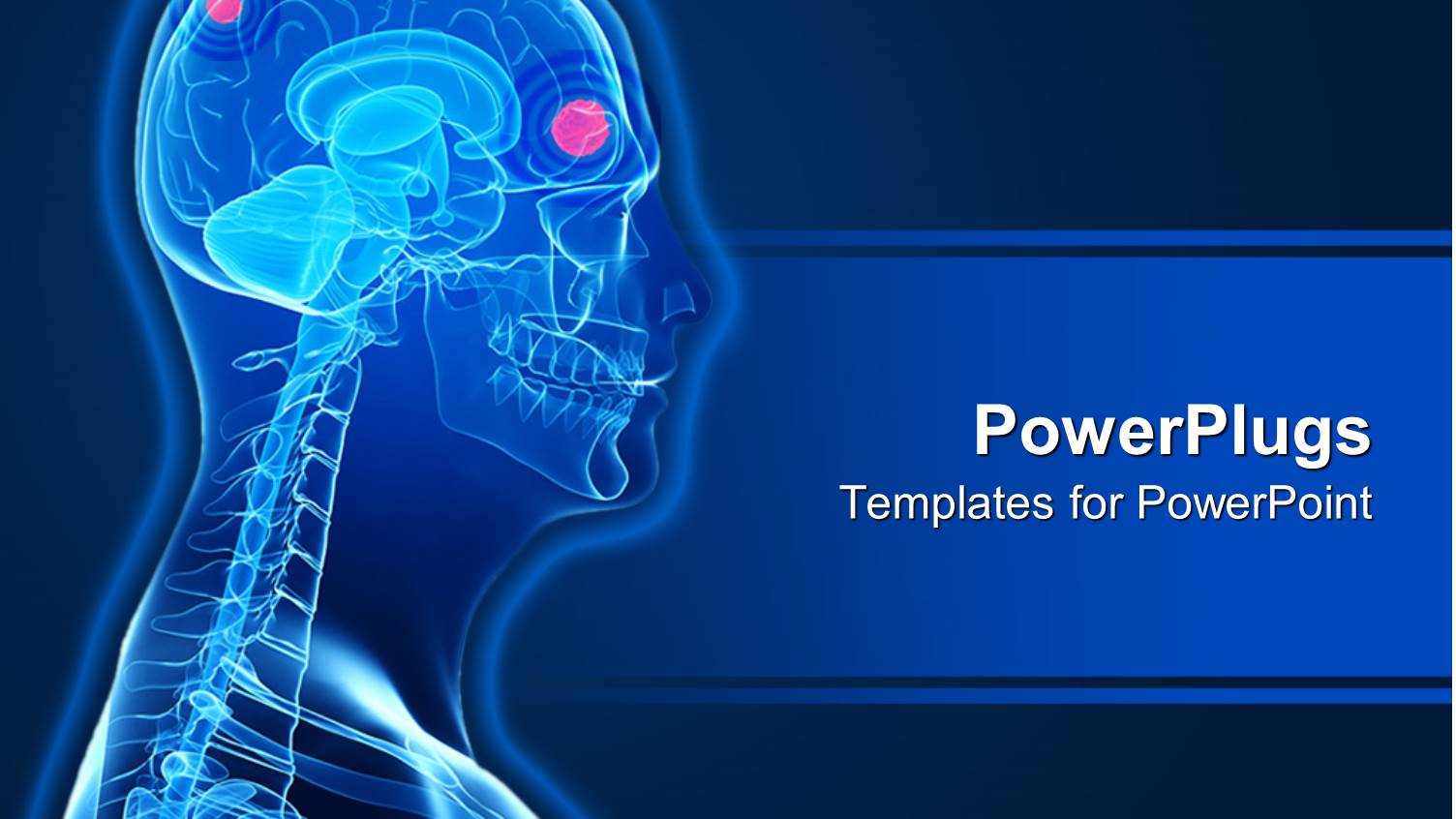 a 3D Human Character Showing the Brain and Skeleton