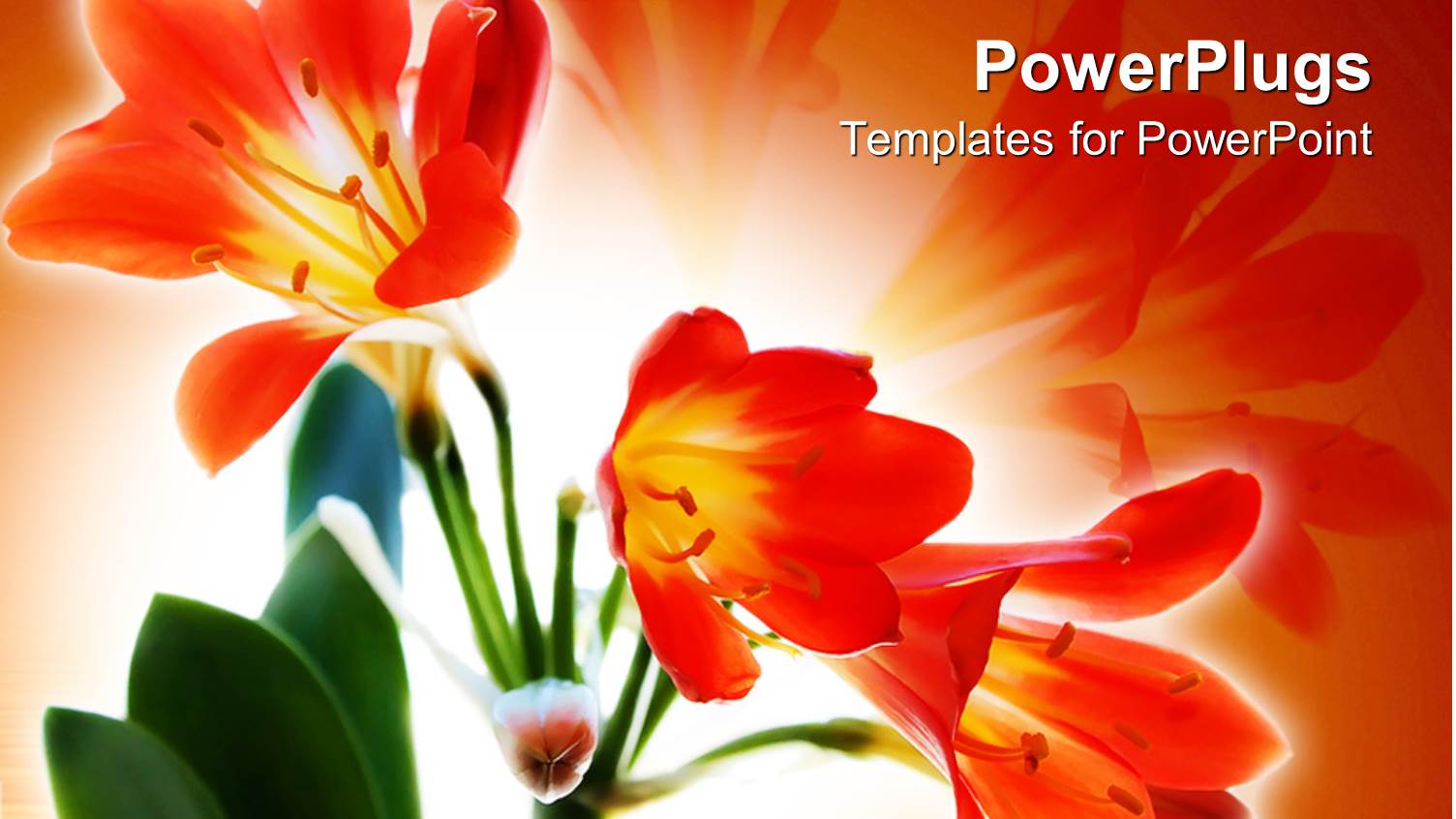 Abstract Depiction of Colorful Red Flowers on an Orange Background