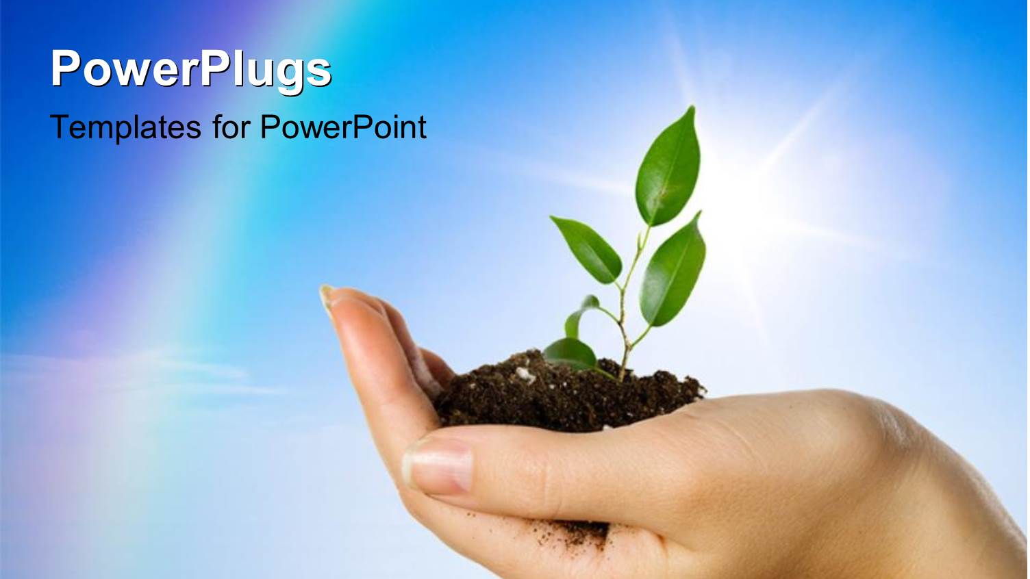 an Adult Female Hand Holding a Growing Green Plant