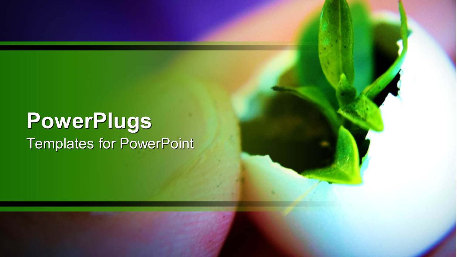 an Adult Hand Holding a small Cracked Egg with a Plant Inside