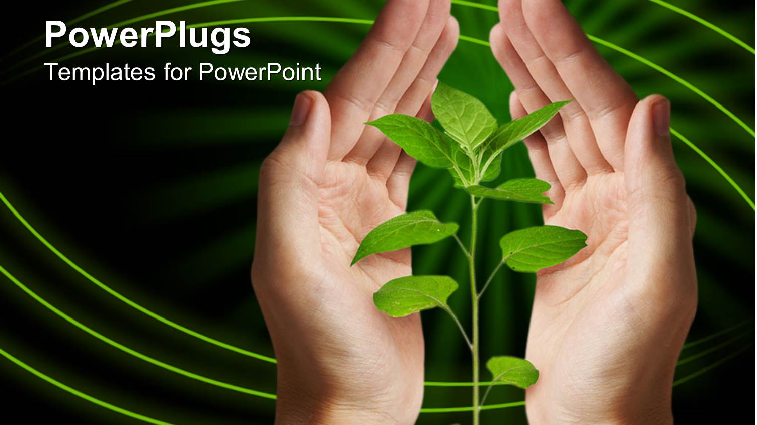 a Air of Hands Covering a Flower Growing Over a Green Background