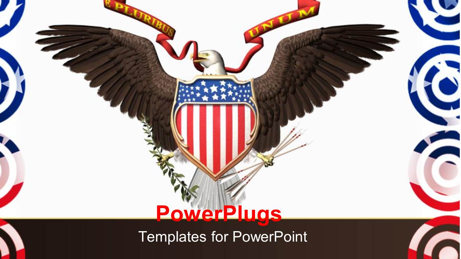 an America N Hawk with White Background