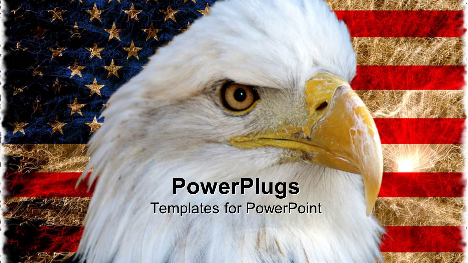 American Bald Eagle on Vintage American Flag