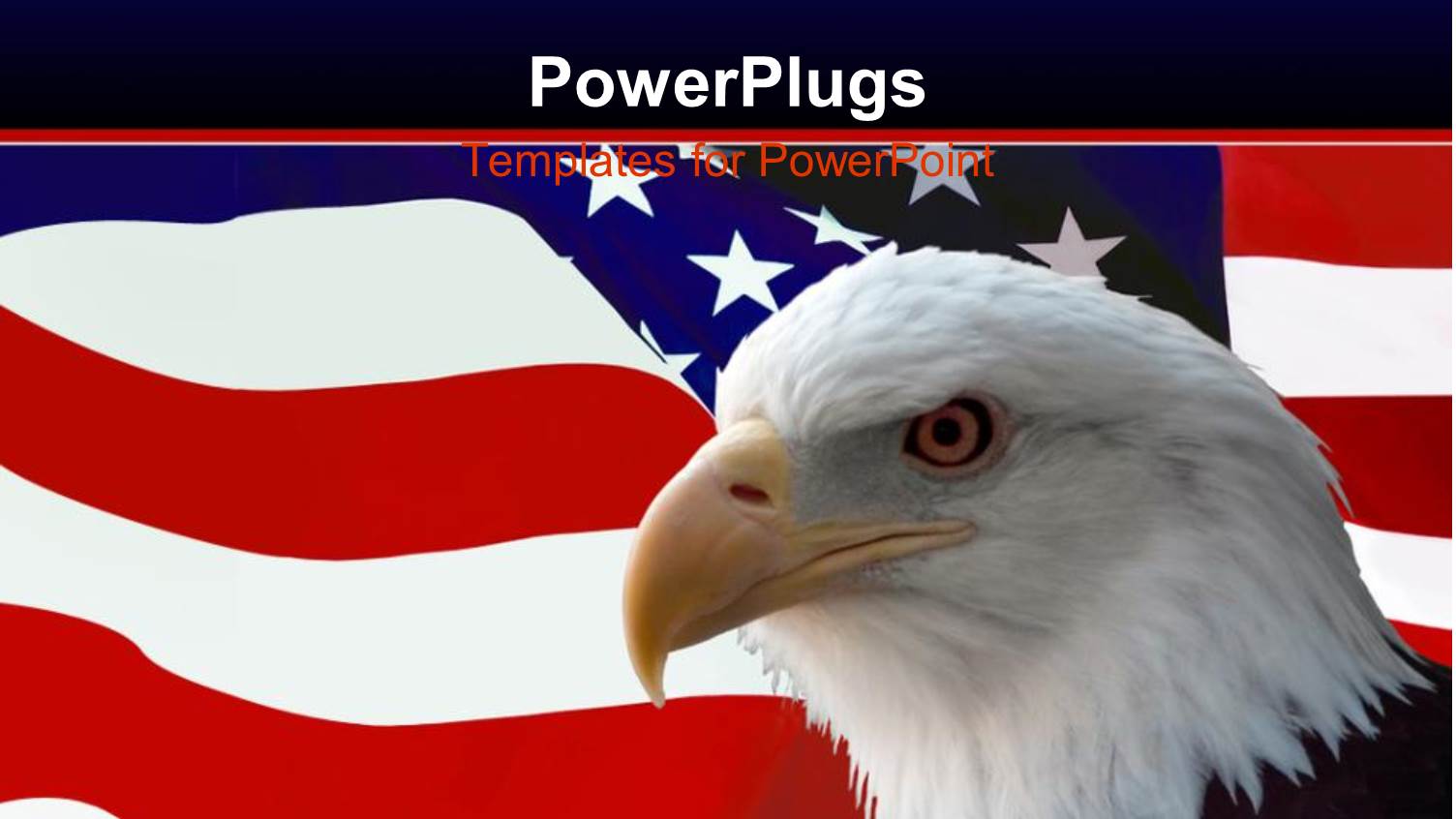 American Eagle Over the United States Flag