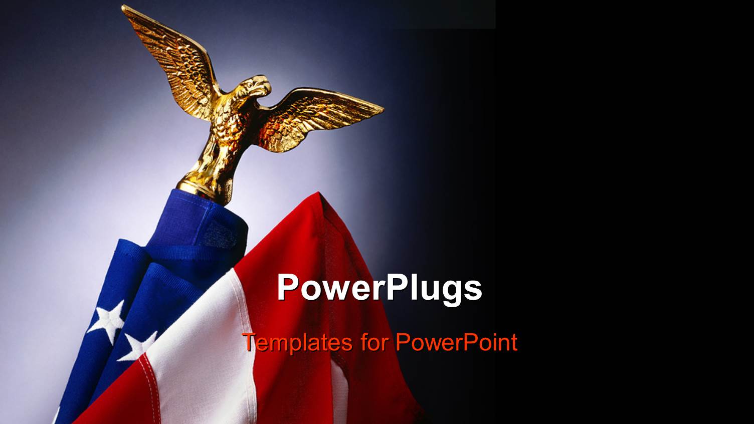 a Hawk with an American Flag